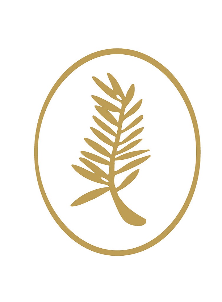 Palme d’or pour Anatomie d’une chute